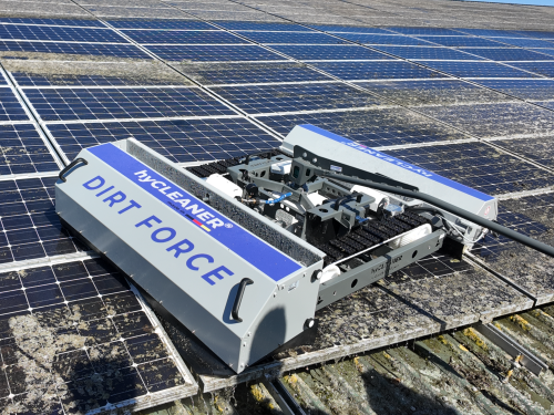 DIRT FORCE Flechtenentferner